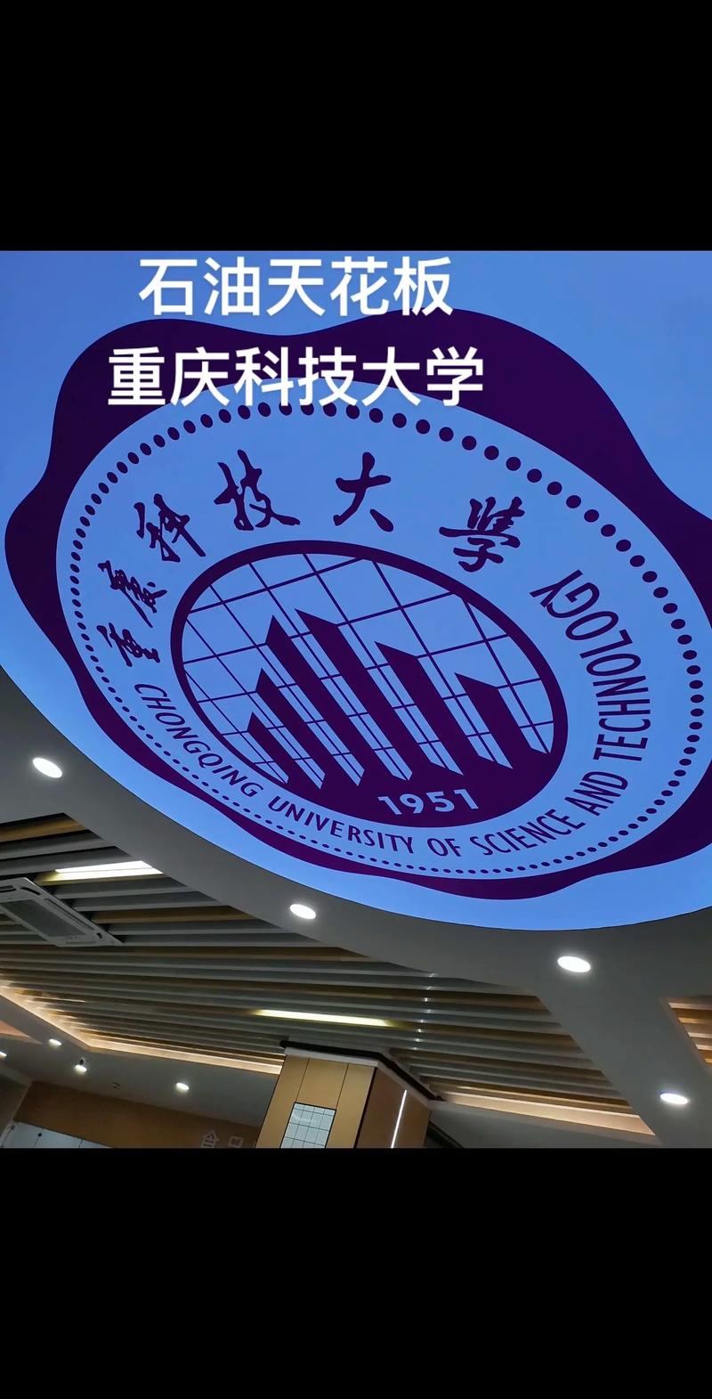 “不是出于禮貌，中石都不想正眼你一眼”——從“重慶科技”看學歷歧視與偏見之痛